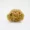 Sea Sponge